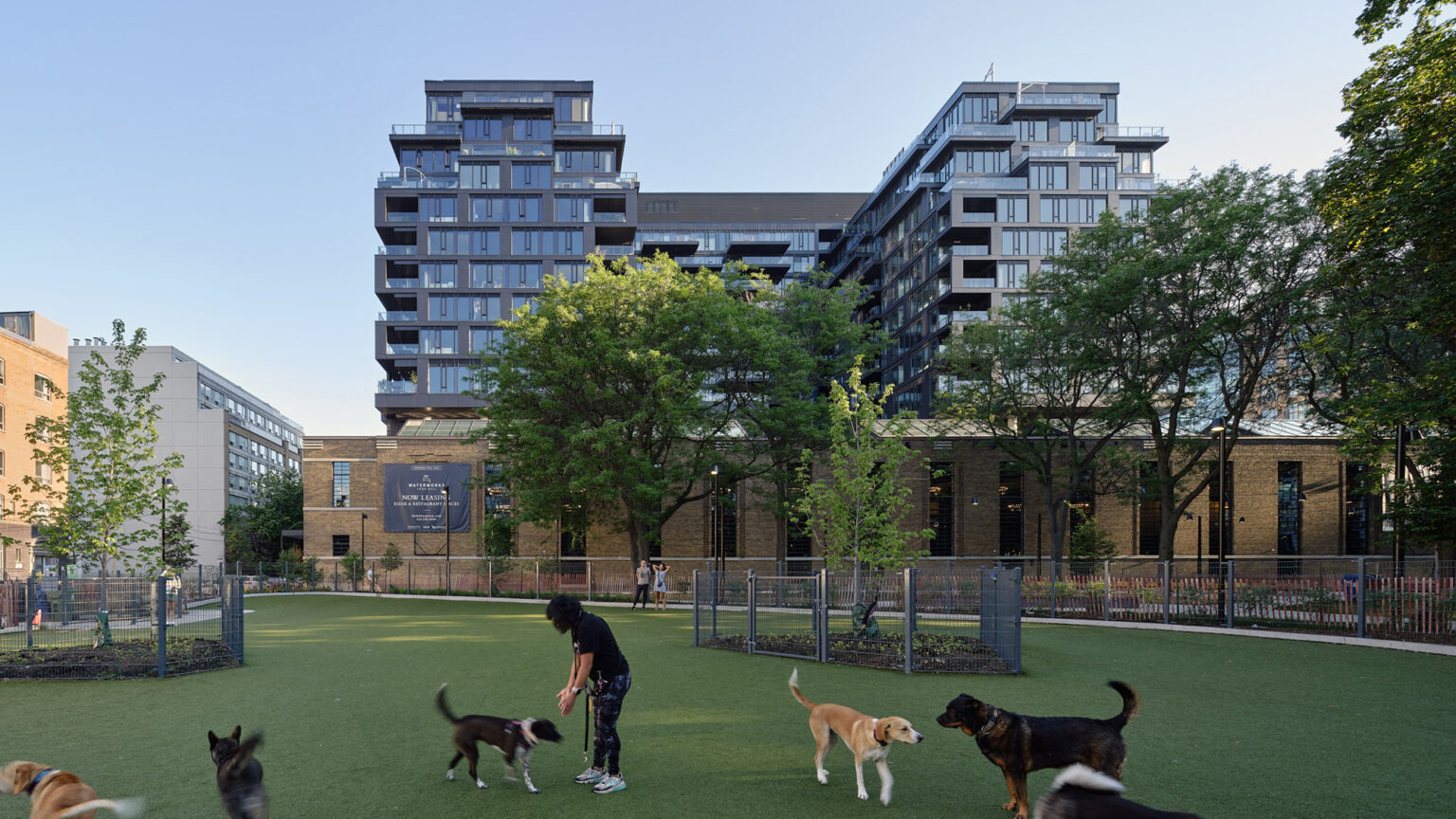 A person playing with dogs in a park in front of Waterworks Residences